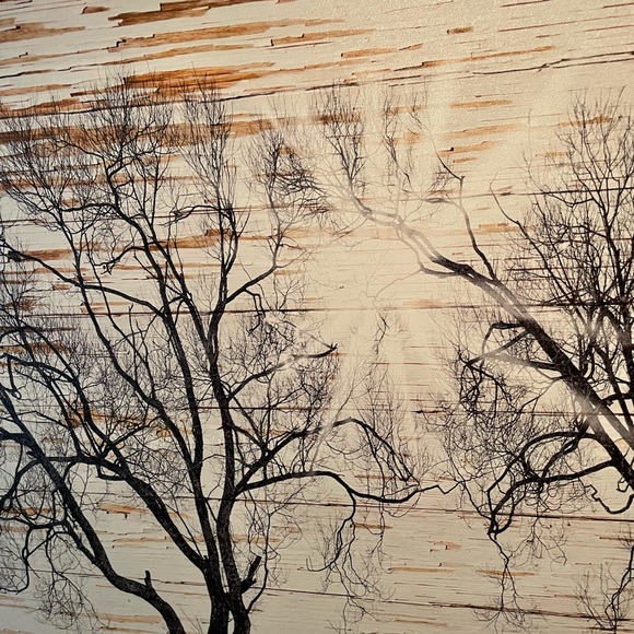 Sunburst Landscape Canvas - Picture 3 of 8